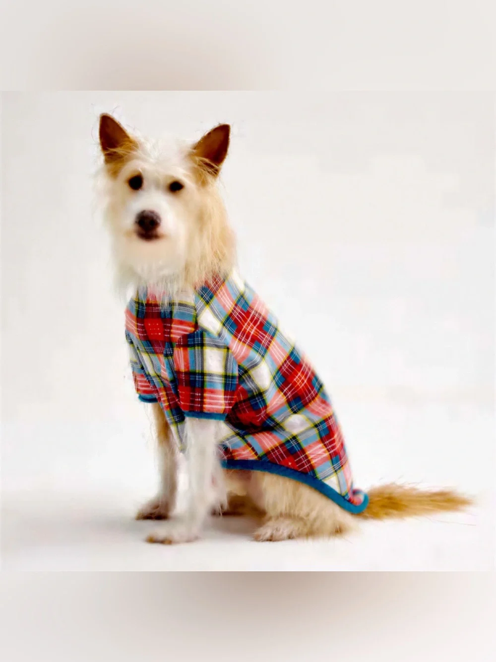 Dog Pajamas Size L